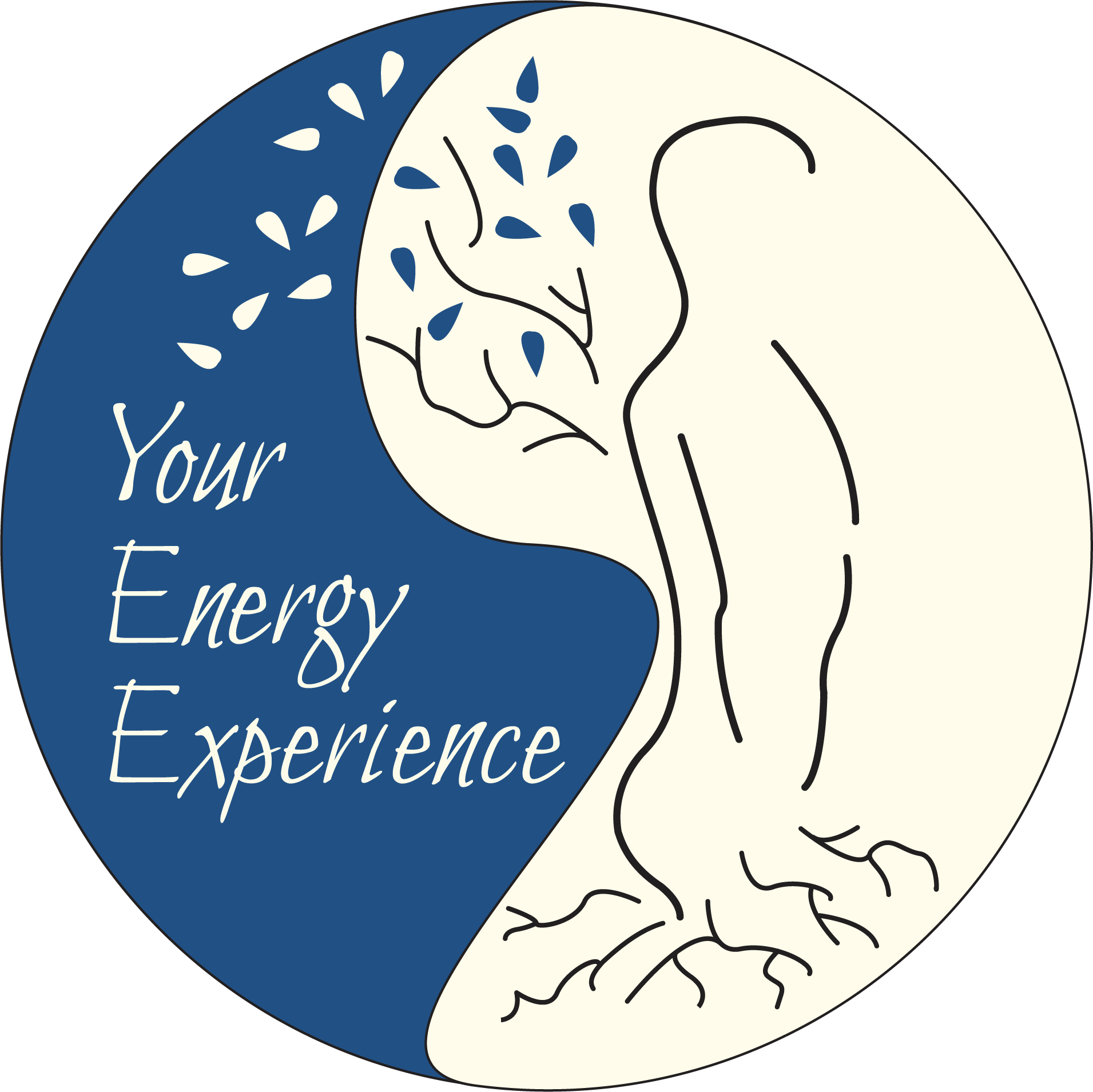 Your Energy Experience